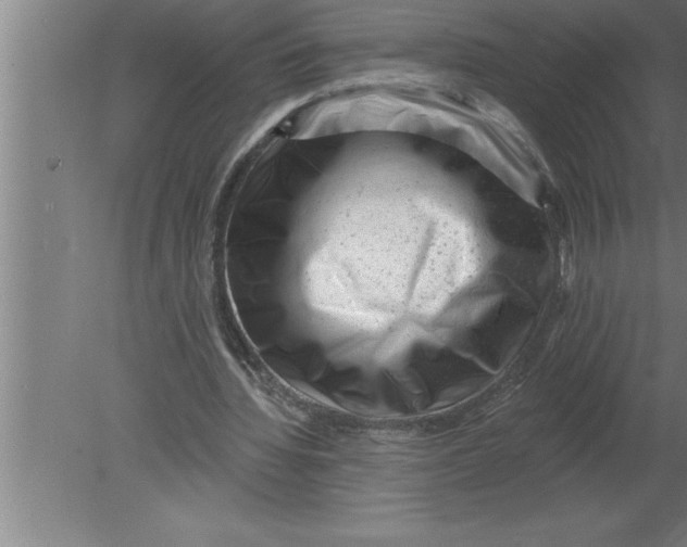 X0000080100436200612301922