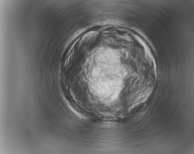 X0000080100437200612301922