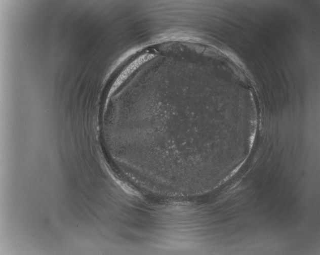 X0000080100438200612301922