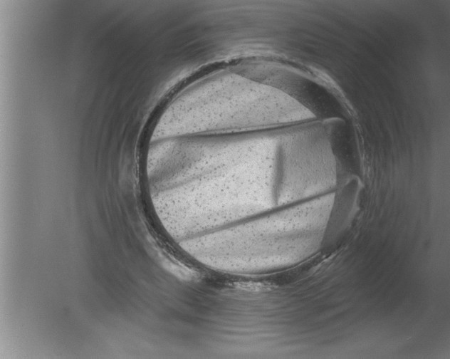 X0000080100439200612301922