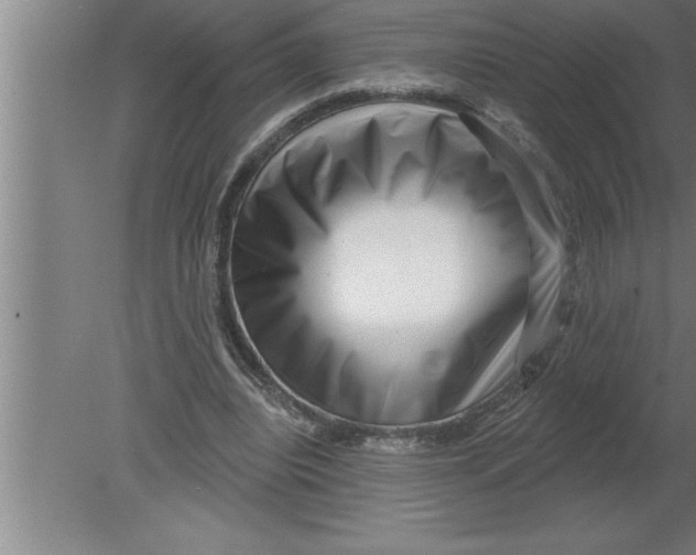 X0000080100440200612301922