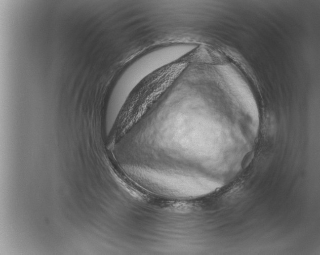 X0000080100441200612301922