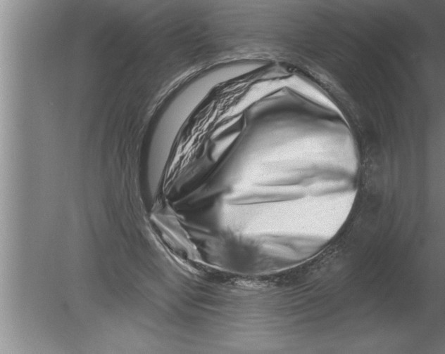 X0000080100442200612301922