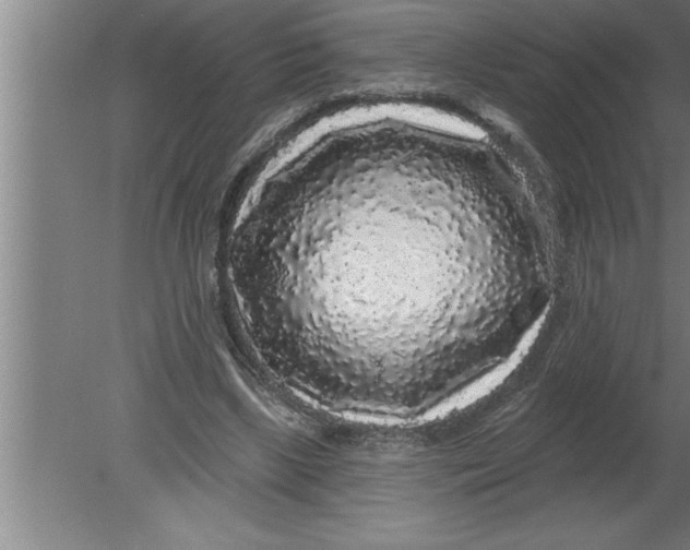 X0000080100443200612301922