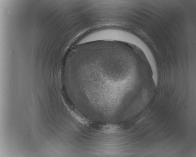 X0000080100444200612301922