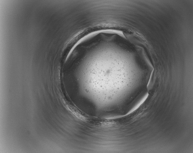 X0000080100446200612301922