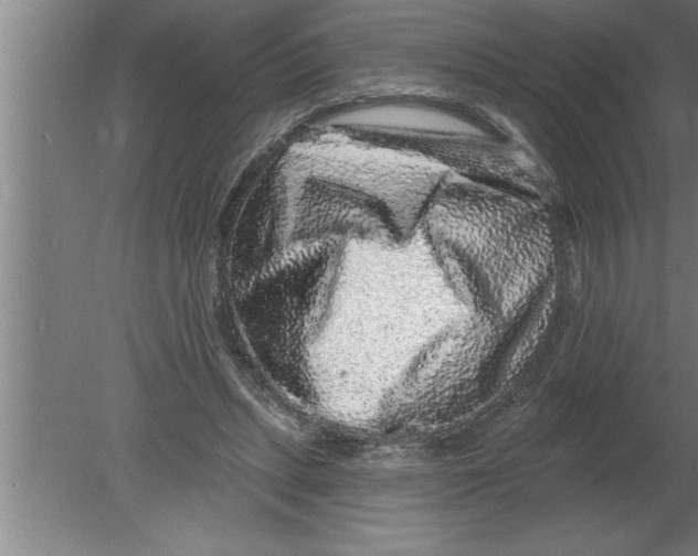 X0000080100447200612301922