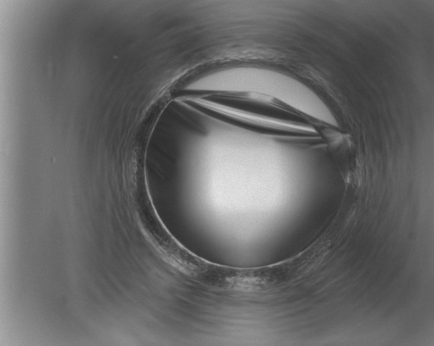 X0000080100448200612301922