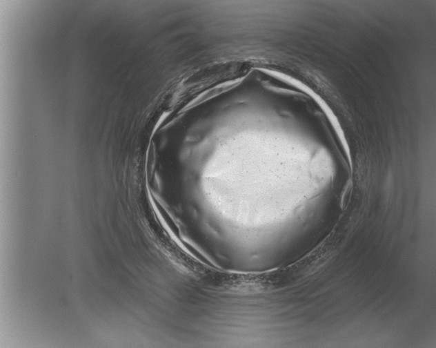 X0000080100449200612301922