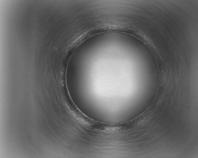 X0000080100450200612301922