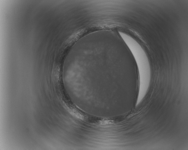 X0000080100451200612301922