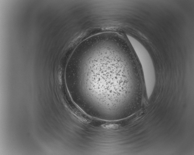 X0000080100452200612301922