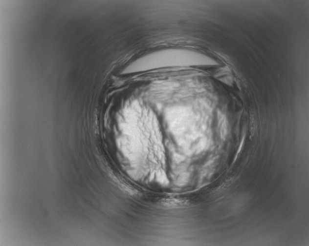 X0000080100453200612301922