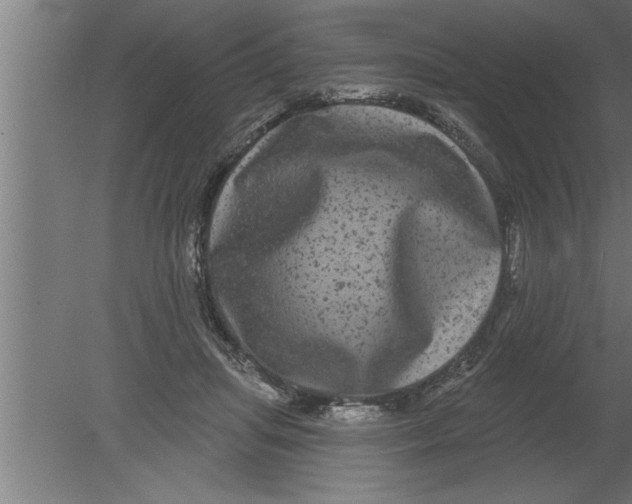 X0000080100455200612301922