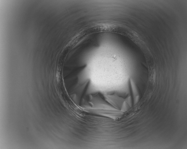 X0000080100456200612301922