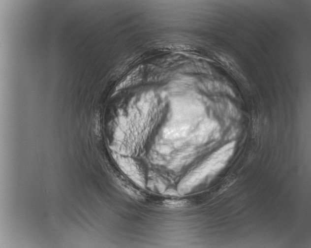 X0000080100457200612301922