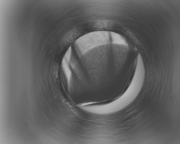 X0000080100458200612301922