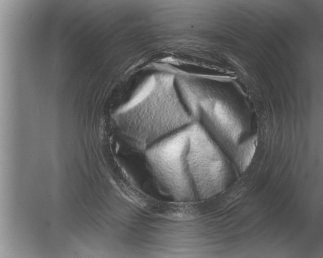 X0000080100459200612301922