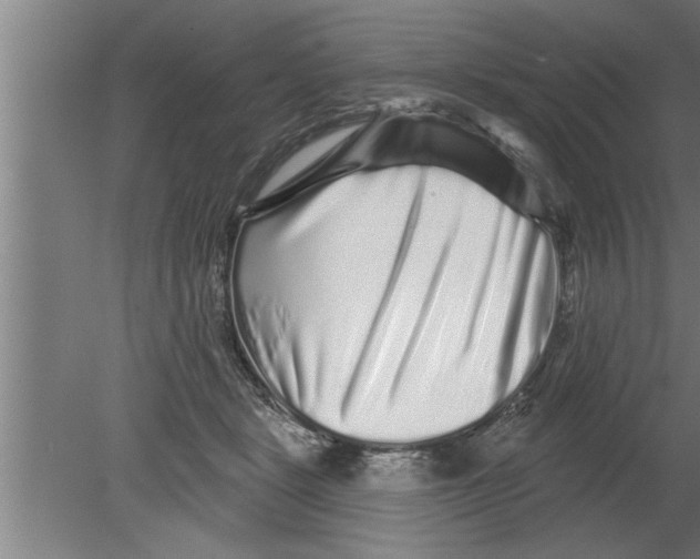 X0000080100461200612301922