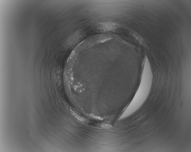 X0000080100462200612301922