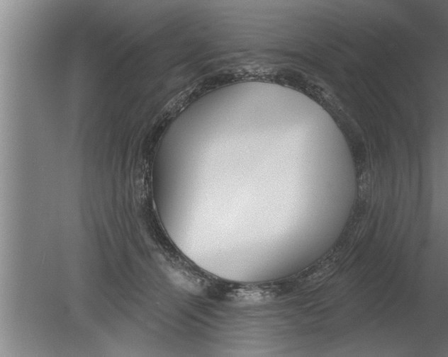 X0000080100464200612301922