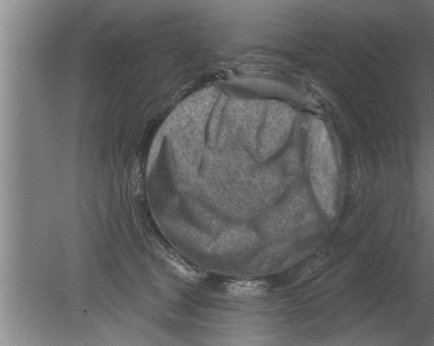 X0000080100465200612301922