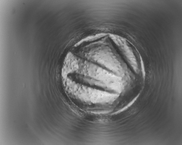 X0000080100466200612301922