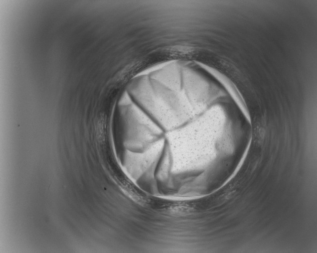 X0000080100468200612301922