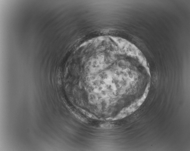 X0000080100470200612301922