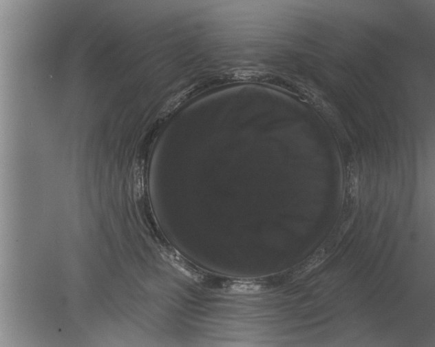 X0000080100471200612301922