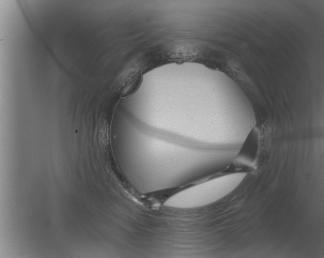 X0000080100474200612301922