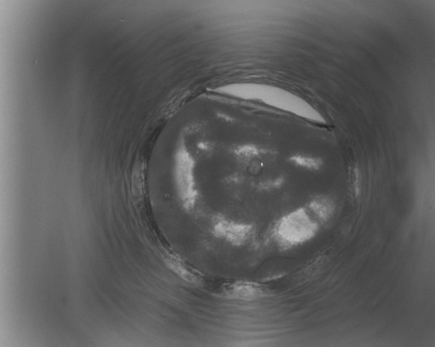 X0000080100475200612301922