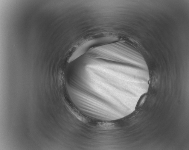 X0000080100476200612301922