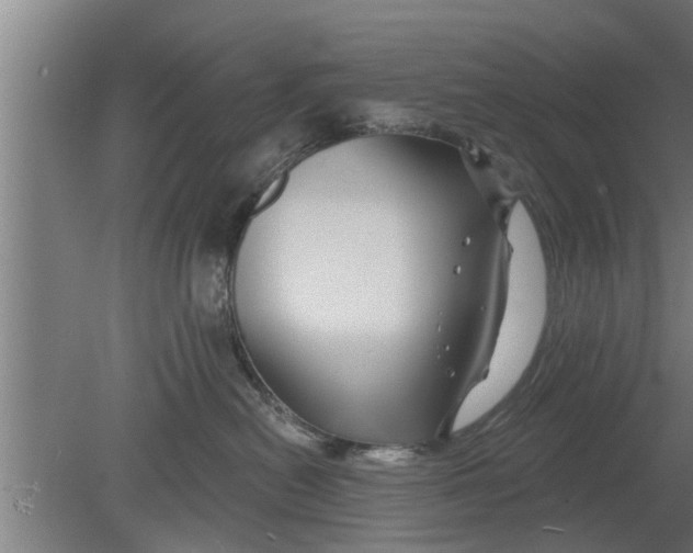 X0000080100478200612301922