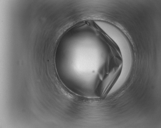 X0000080100481200612301922