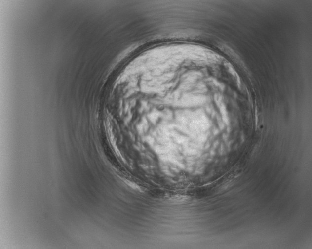 X0000080100483200612301922