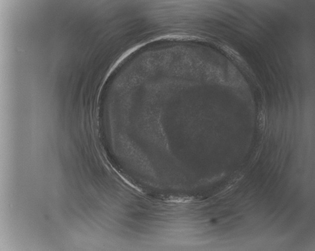 X0000080100484200612301922