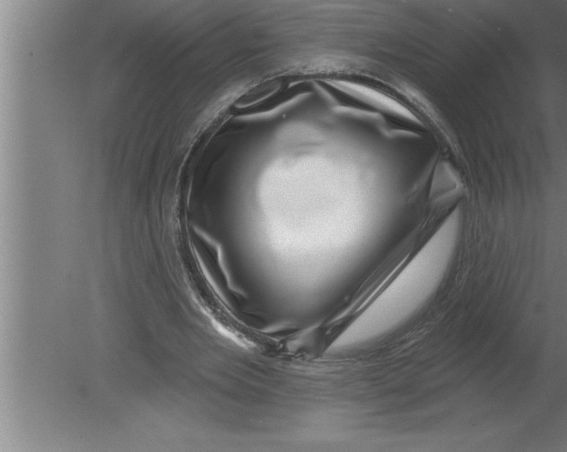 X0000080100485200612301922