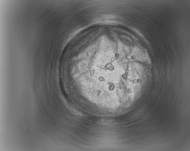 X0000080100487200612301922