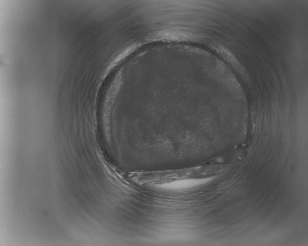 X0000080100488200612301922