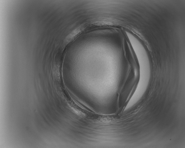 X0000080100489200612301922