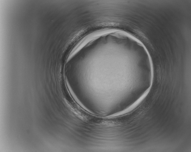 X0000080100490200612301922