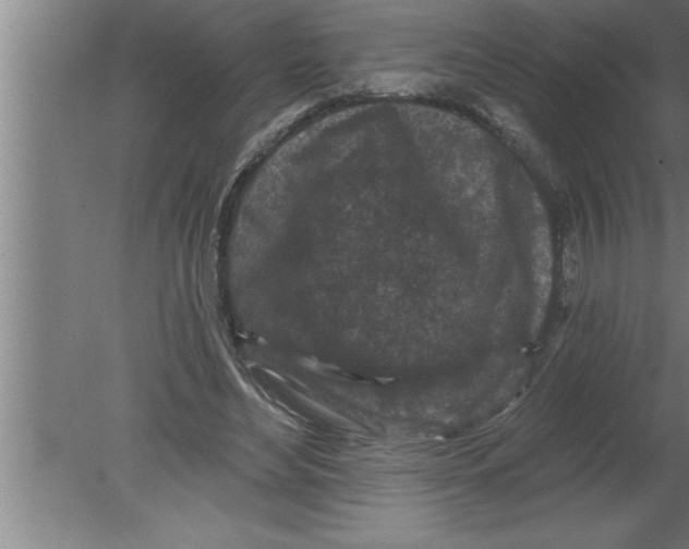 X0000080100492200612301921