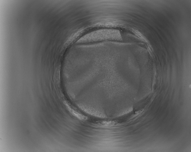 X0000080100493200612301921