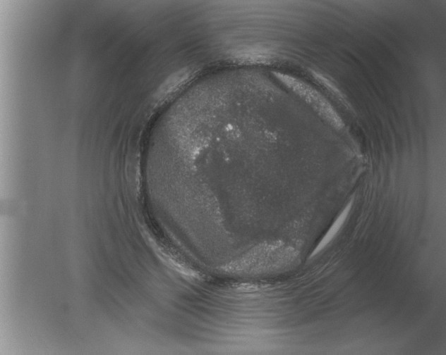 X0000080100494200612301921