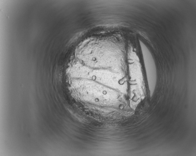 X0000080100495200612301921