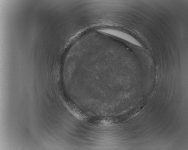 X0000080100496200612301921