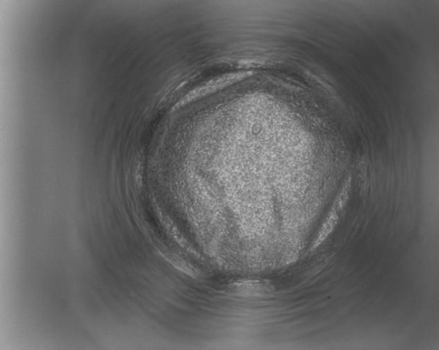 X0000080100499200612301921