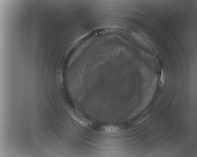 X0000080100500200612301921