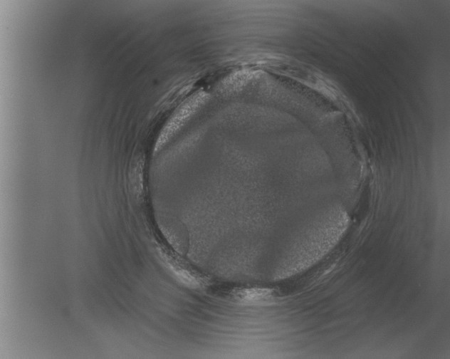 X0000080100501200612301921